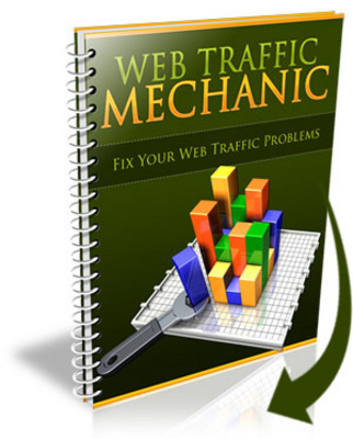 Product picture Web Traffic Mechanic + PLR